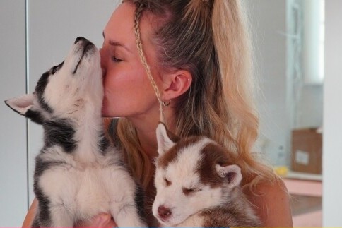 A person holding two husky puppies at a puppy yoga class.